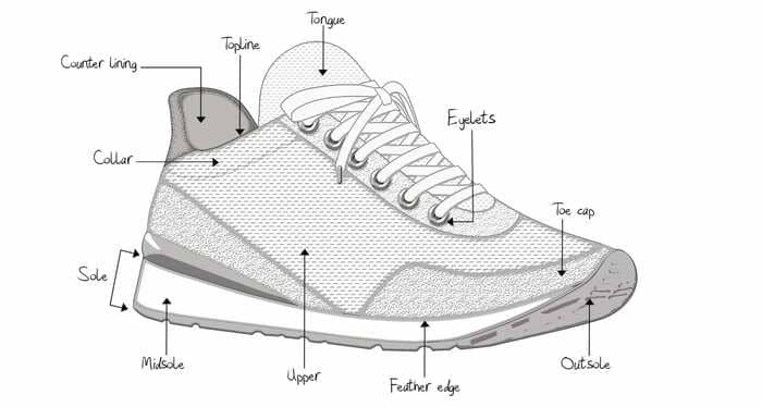 mô hình tổng quan các bộ phận của giày sneaker